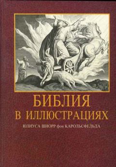 Книга - Иллюстрированная Библия.  Библия - читать в Litvek