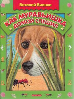 Книга - Как муравьишка домой спешил. Виталий Валентинович Бианки - читать в ЛитВек