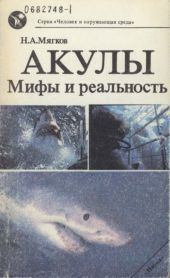 Обложка книги - Акулы: Мифы и реальность. Николай Александрович Мягков - Litvek