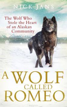 Обложка книги - Волк по имени Ромео. Как дикий зверь покорил сердца целого города - Ник Дженс
