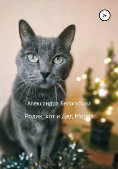 Обложка книги - Родик, кот и Дед Мороз - Александра Белогубова