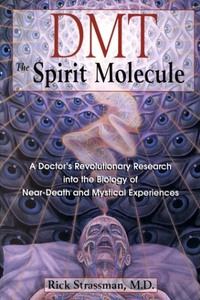 Обложка книги - ДМТ — Молекула духа - Рик Страссман