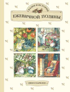 Обложка книги - Сказки и истории Ежевичной поляны - Джилл Барклем