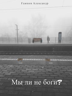 Обложка книги - Мы ли не боги? (СИ) - Александр Гаюнов