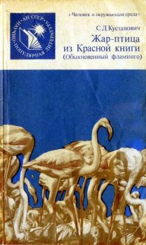 Книга - Жар-птица из Красной книги. Обыкновенный фламинго. Семен Давыдович Кустанович - прочитать в Litvek