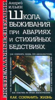 Книга - Школа выживания при авариях и стихийных бедствиях. Андрей Александрович Ильичев (Ильин) - читать в Litvek