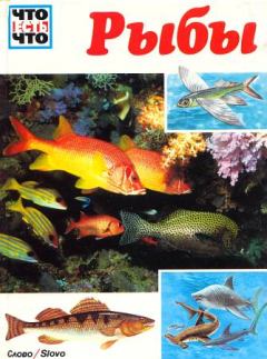 Книга - Рыбы. Джеффри Коу - читать в Litvek