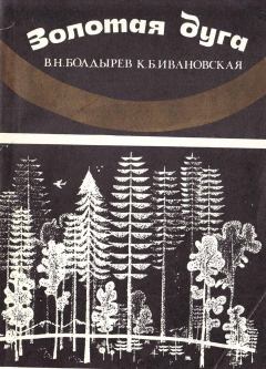 Книга - Золотая Дуга. Виктор Николаевич Болдырев - прочитать в Litvek