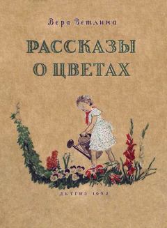 Обложка книги - Рассказы о цветах - Вера Арсеньевна Ветлина