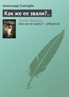 Книга - Как же ее звали?... Александр Снегирев - читать в Litvek
