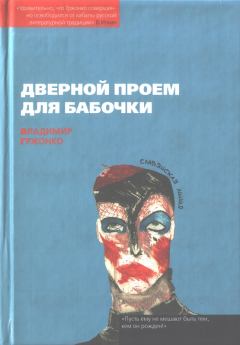 Обложка книги - Дверной проем для бабочки - Владимир Гржонко