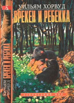 Книга - Брекен и Ребекка. Уильям Хорвуд - прочитать в Litvek