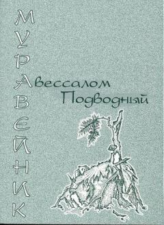 Обложка книги - Муравейник - Авессалом Подводный
