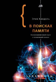 Обложка книги - В поисках памяти: Возникновение новой науки о человеческой психике - Эрик Ричард Кандель
