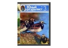 Книга - Юный натуралист 1984 №03. Журнал «Юный натуралист» - прочитать в Litvek