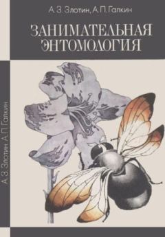 Обложка книги - Занимательная энтомология - Александр Зиновьевич Злотин