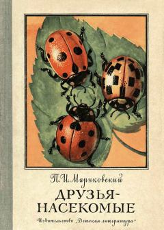 Книга - Друзья-насекомые. Павел Иустинович Мариковский - читать в Litvek