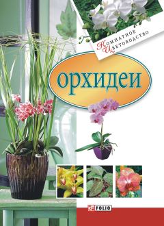 Книга - Орхидеи. Мария Павловна Згурская - прочитать в Litvek
