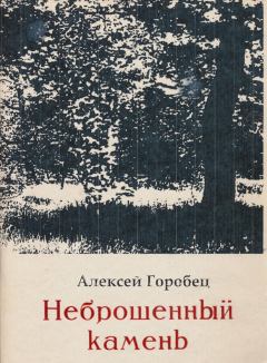 Обложка книги - Неброшенный камень - Алексей Борисович Горобец