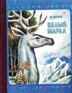 Обложка книги - Белый марал - Михаил И. Бурзалов (иллюстратор)