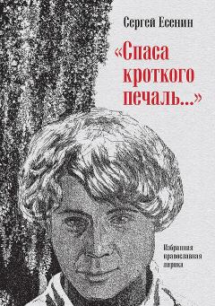 Книга - «Спаса кроткого печаль…». Избранная православная лирика. Захар Прилепин - прочитать в Litvek
