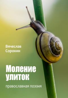 Книга - Моление улиток. Вячеслав Сорокин - читать в Litvek