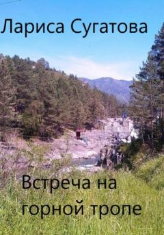 Книга - Встреча на горной тропе. Лариса Сугатова - прочитать в Litvek