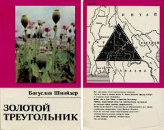 Обложка книги - Золотой треугольник - Богуслав Шнайдер