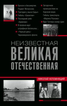Книга - Неизвестная Великая Отечественная. Николай Николаевич Непомнящий - прочитать в Litvek