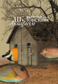 Книга - Аквариум (сборник). Евгений Александрович Шкловский - читать в Litvek