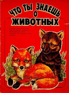 Книга - Что ты знаешь о животных. Светлана Михайловна Заплатная - читать в Litvek