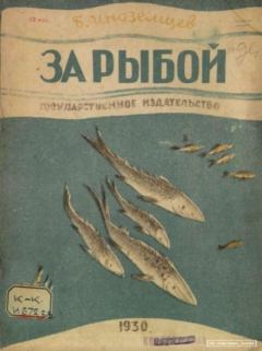 Книга - За рыбой. Борис Иванович Иноземцев (иллюстратор) - читать в Litvek