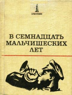Обложка книги - В семнадцать мальчишеских лет - Семен Иванович Буньков
