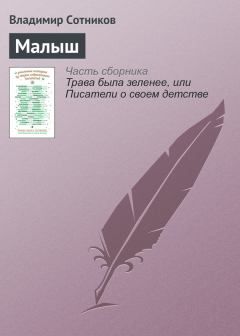 Обложка книги - Малыш - Владимир Михайлович Сотников