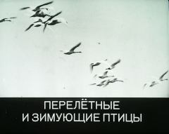 Обложка книги - Перелётные и зимующие птицы - А. М. Чельцов