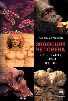 Обложка книги - Эволюция человека. Книга 1 - Александр Владимирович Марков