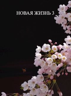Книга - Новая жизнь 3. Виталий Хонихоев - прочитать в Litvek