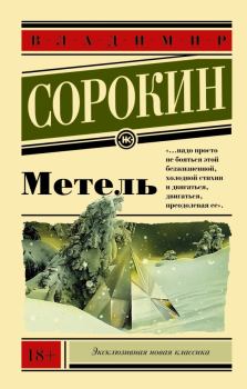 Обложка книги - Метель - Владимир Георгиевич Сорокин