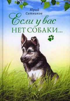 Книга - Если у вас нет собаки…. Юрий Вячеславович Ситников - прочитать в Litvek