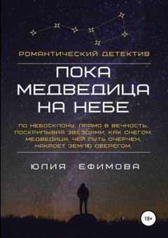 Книга - Пока медведица на небе. Юлия Ефимова - читать в Litvek