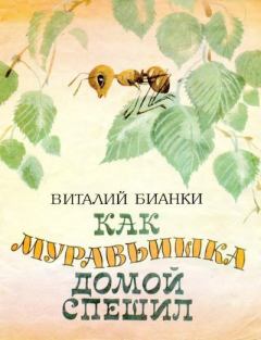 Книга - Как муравьишка домой спешил. Виталий Валентинович Бианки - читать в Litvek