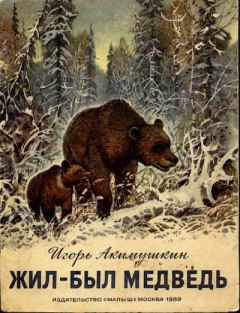 Обложка книги - Жил-был медведь - Сергей Алексеевич Куприянов (иллюстратор)