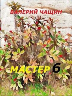 Книга - Мастер 6. Валерий Чащин - читать в Litvek