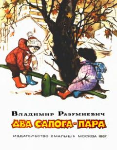 Книга - Два сапога — пара. Владимир Лукьянович Разумневич - читать в Litvek