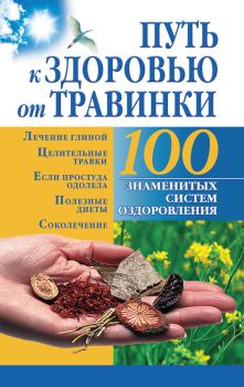 Обложка книги - Путь к здоровью от Травинки - Борис Бах