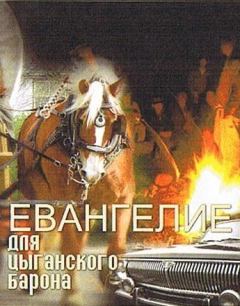 Обложка книги - Евангелие для цыганского барона - Пётр Загоруйко