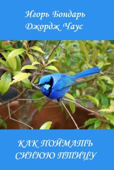 Книга - Как поймать синюю птицу. Игорь Бондарь - читать в Litvek