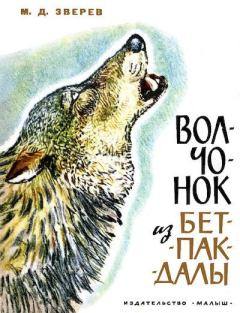 Обложка книги - Волчонок из Бетпак-Далы - Георгий Евлампиевич Никольский (иллюстратор)