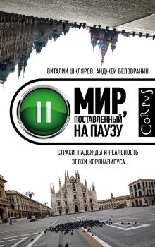 Обложка книги - Мир, поставленный на паузу - Виталий Шкляров