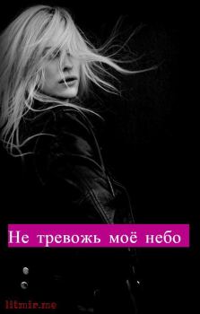 Книга - Не тревожь моё небо (СИ).   (Kiki25) - читать в Litvek